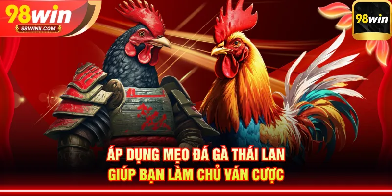 Áp dụng mẹo đá gà Thái Lan giúp bạn làm chủ ván cược