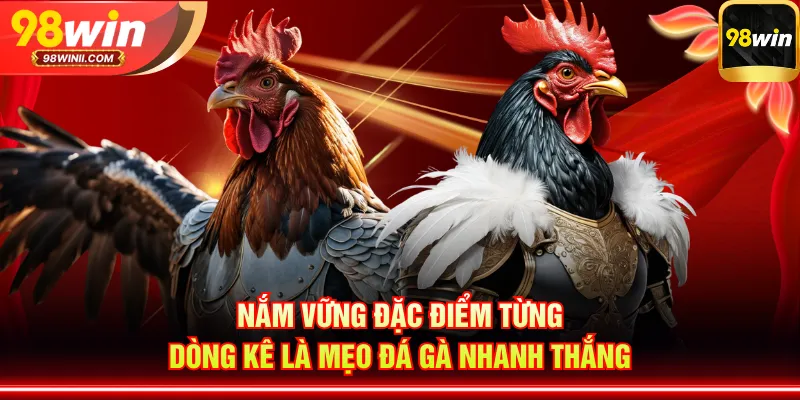 Nắm vững đặc điểm từng dòng kê là mẹo đá gà nhanh thắng